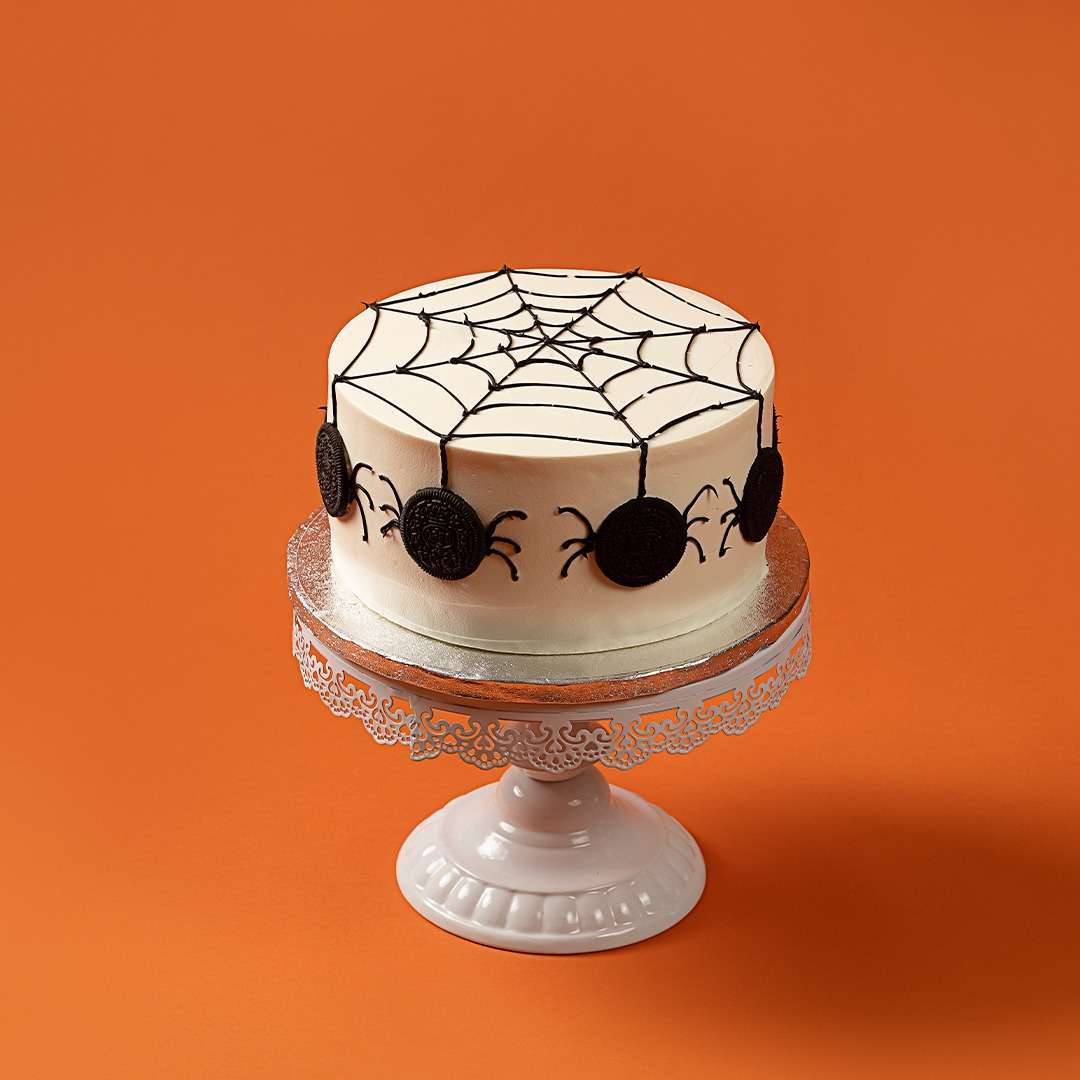 Halloween Spider Web Classic Cake